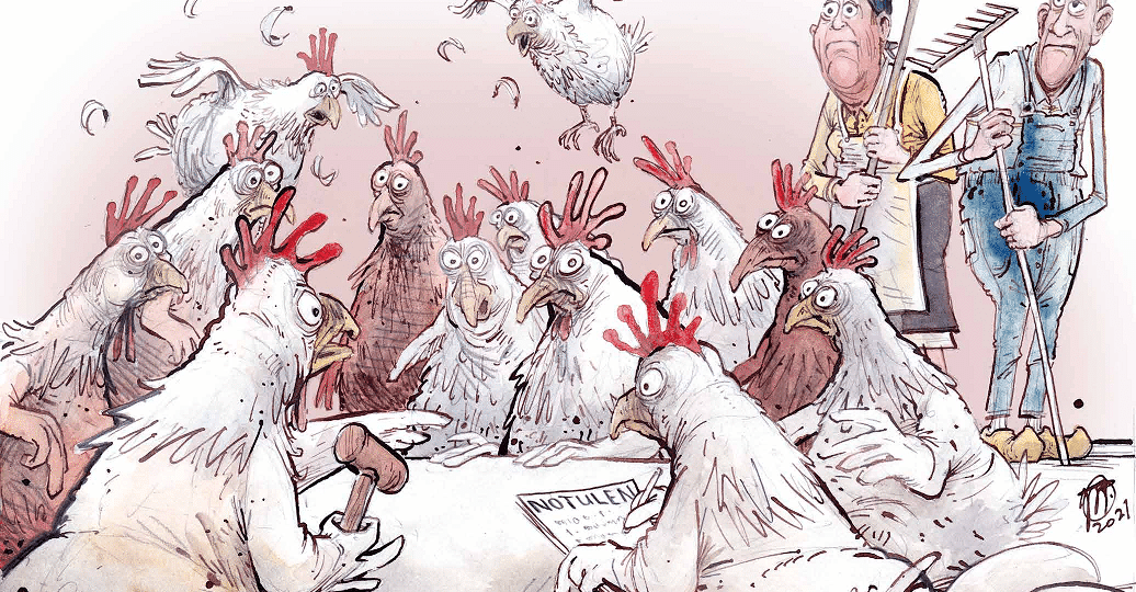 chicken organizing