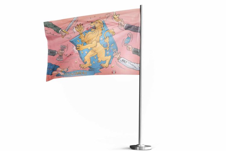 Vlag 150x100cm
