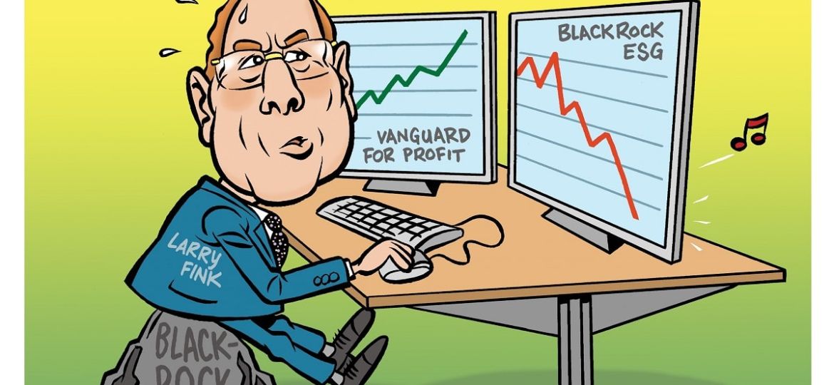 66 Groeiend economisch realisme tegen klimaatdwang
