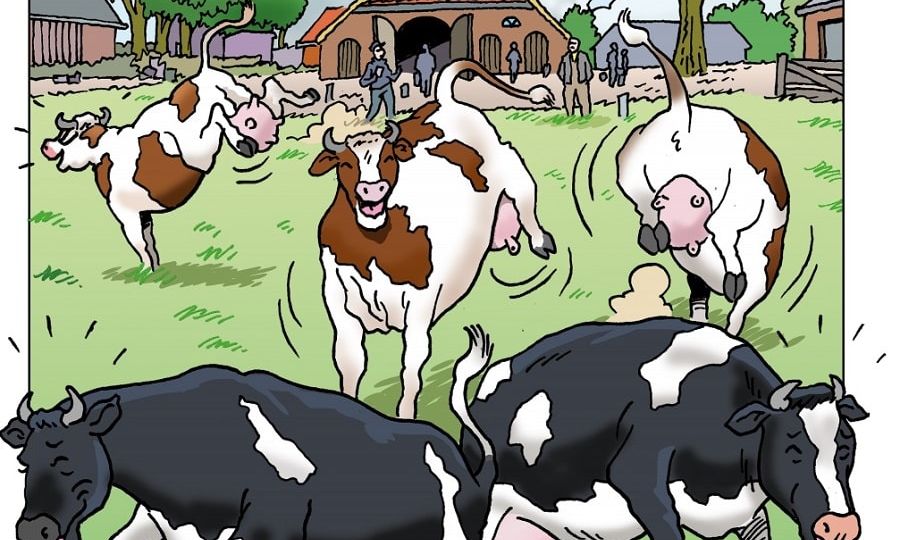 boeren beroepsverbod