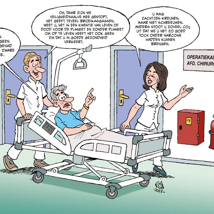 113 Gezondheidszorg binnen ÔÇÿplanetaire grenzenÔÇÖ