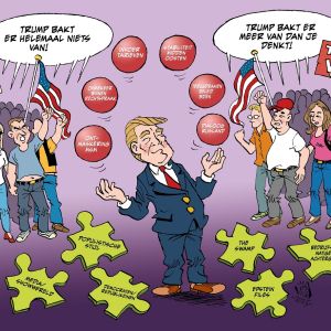 119 De Trump puzzel