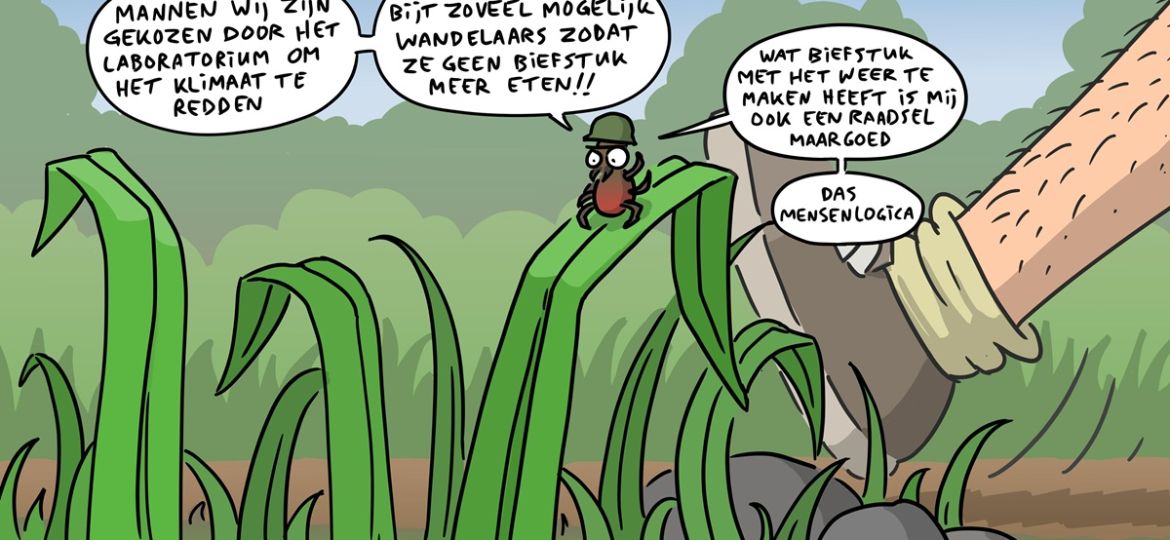 143 De militaire teek als wapen tegen de biefstuk